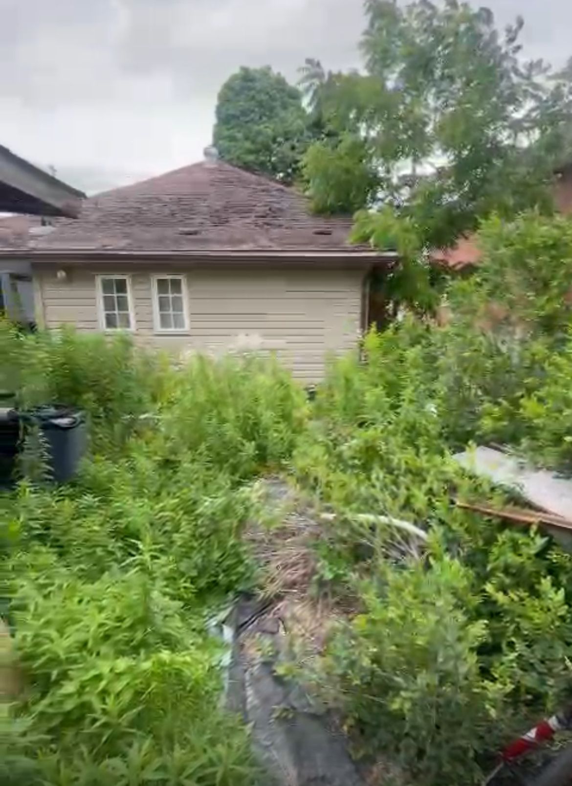 Before Image of project