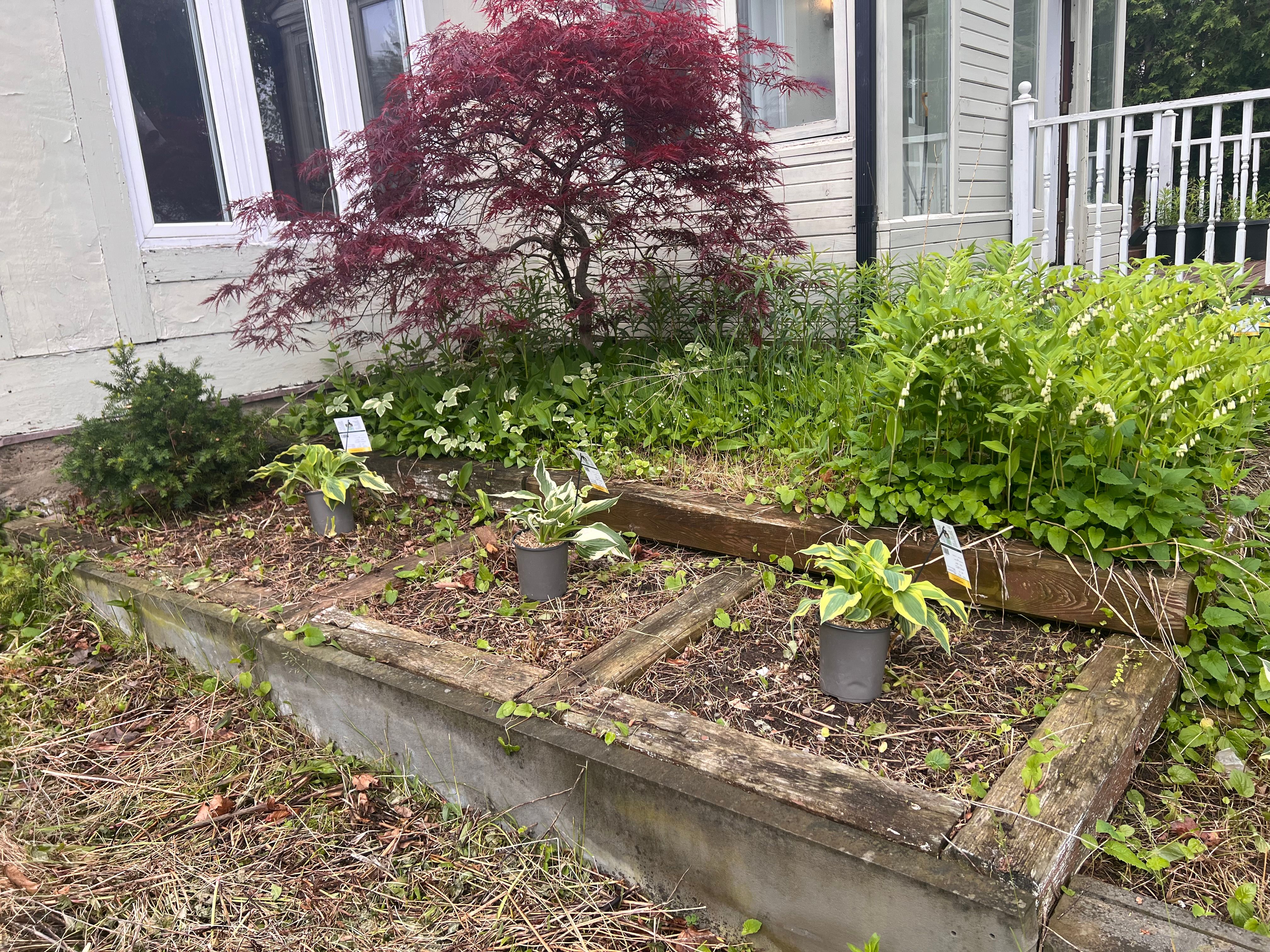 Before Image of project
