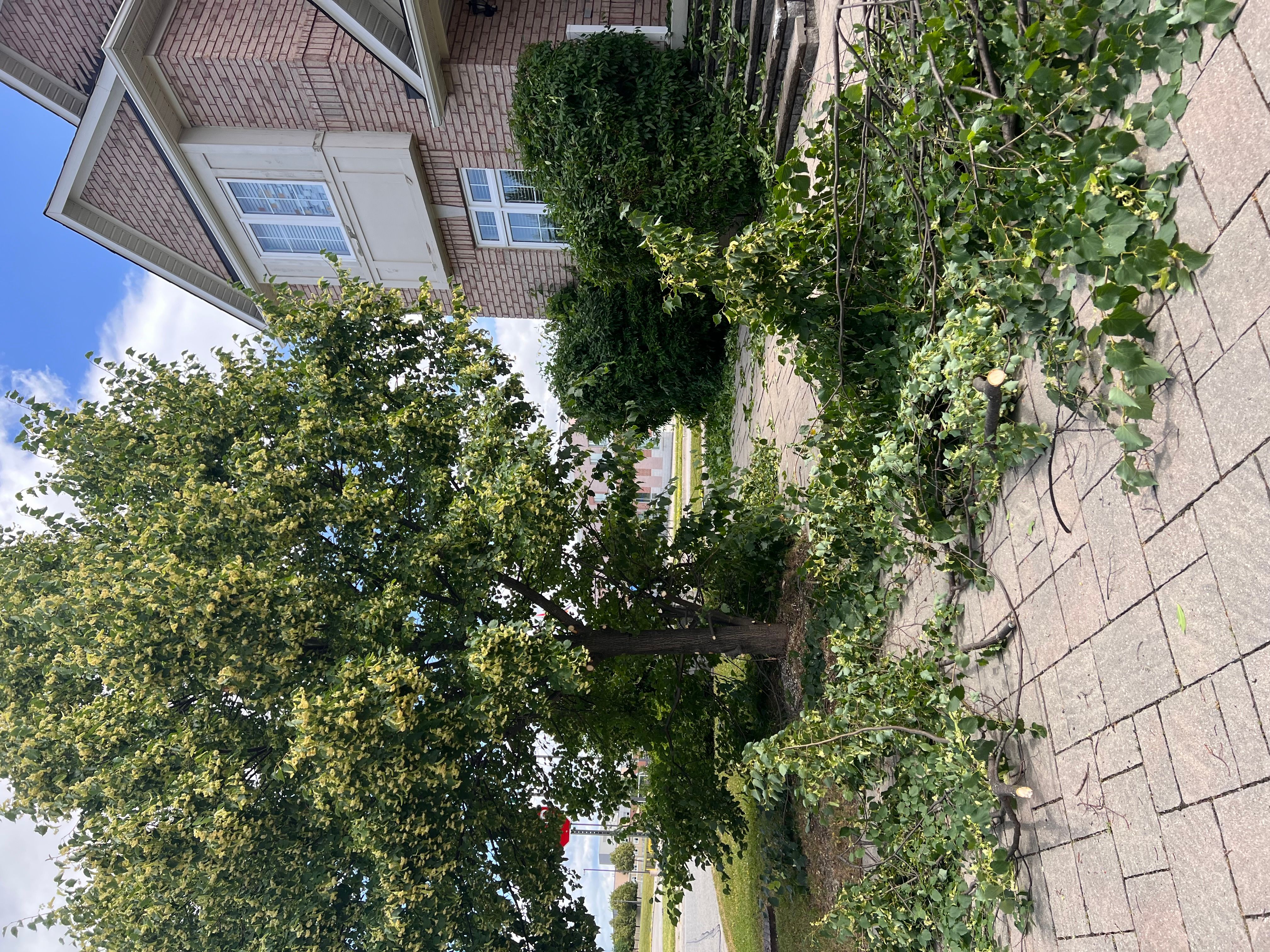 Before Image of project