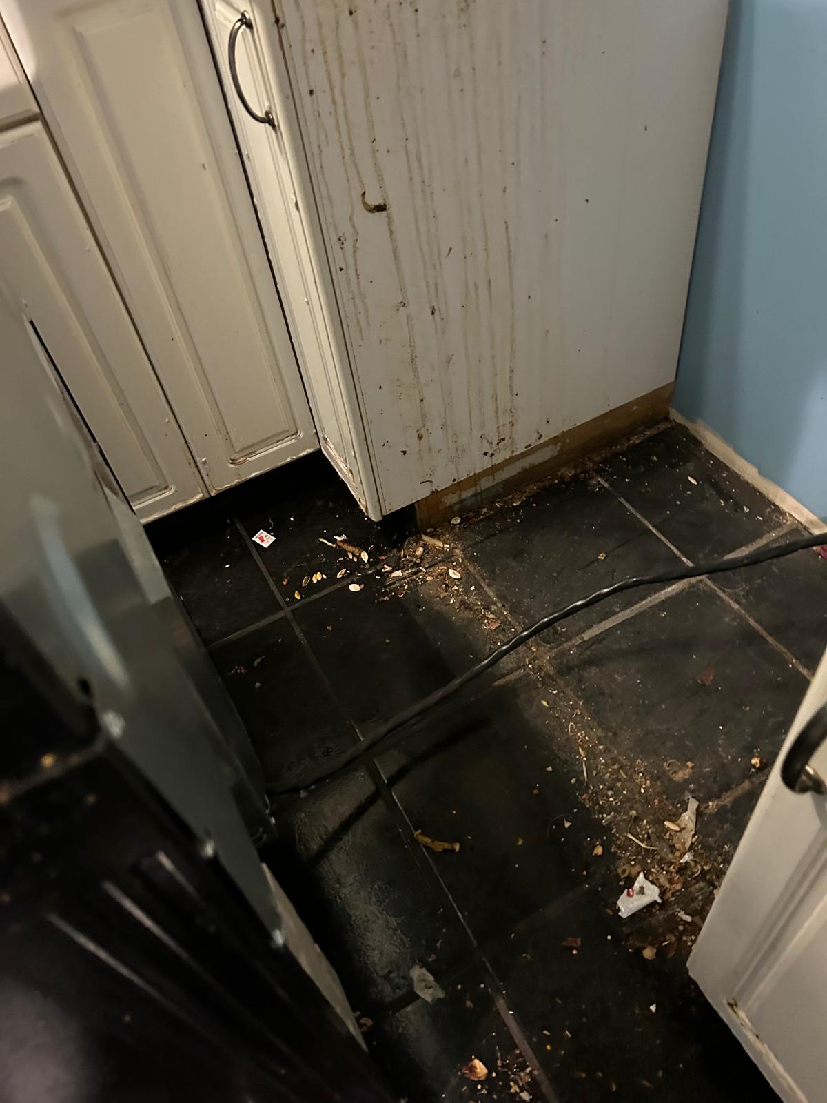 Before Image of project