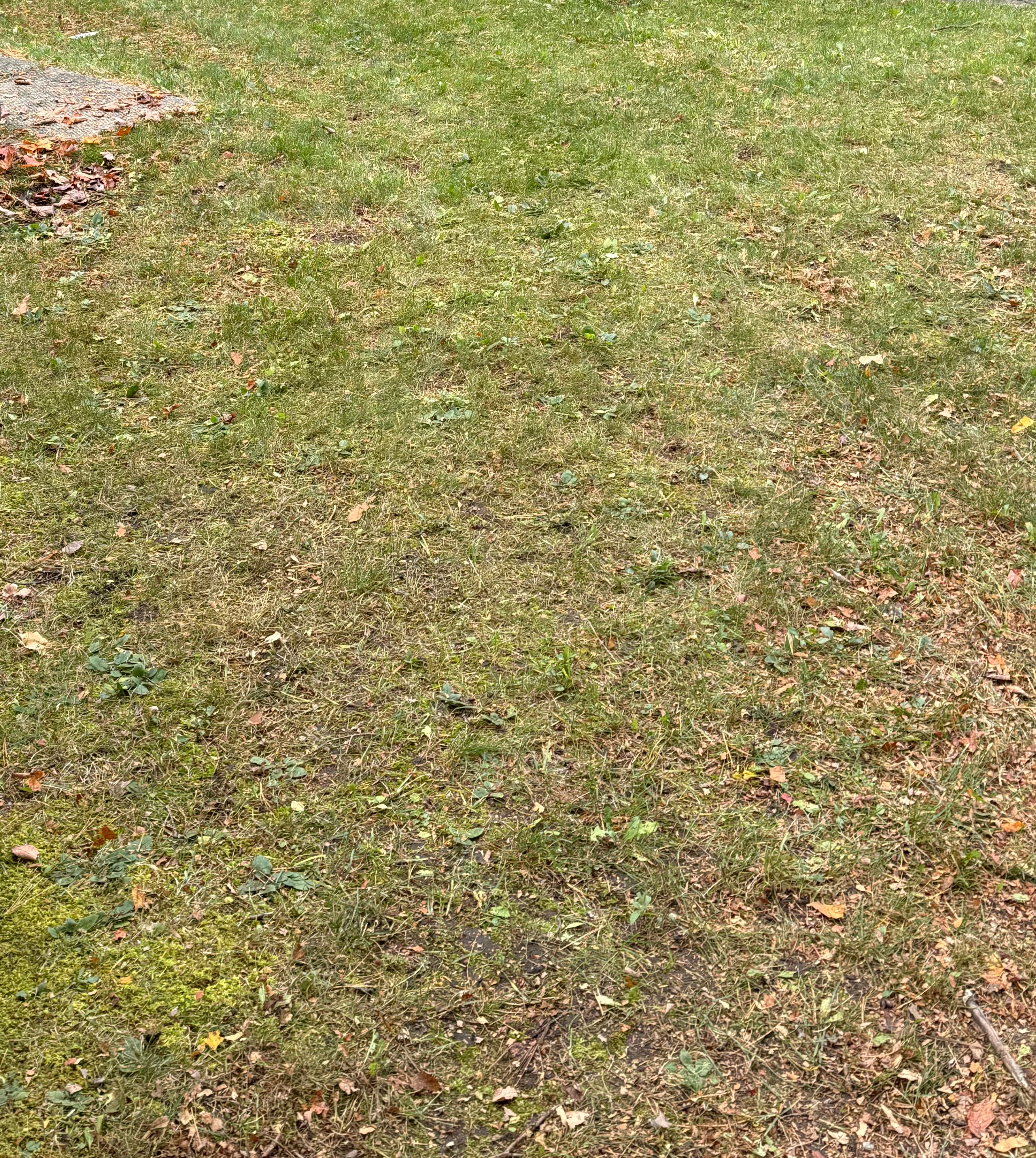 Before Image of project