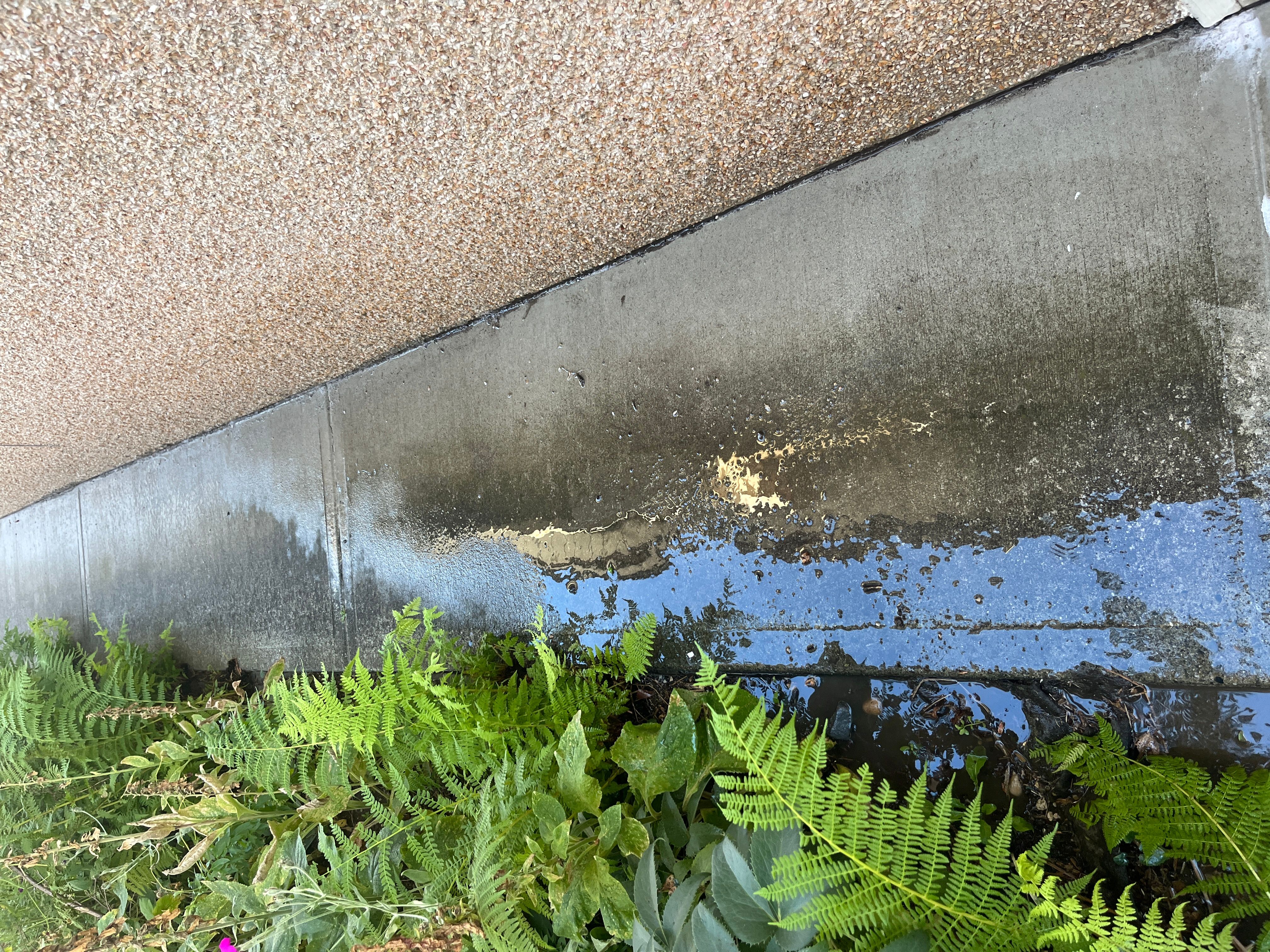 Before Image of project