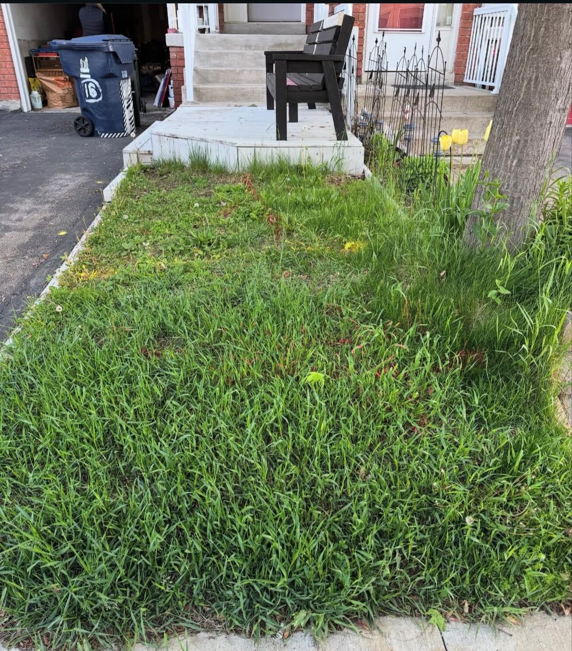 Before Image of project