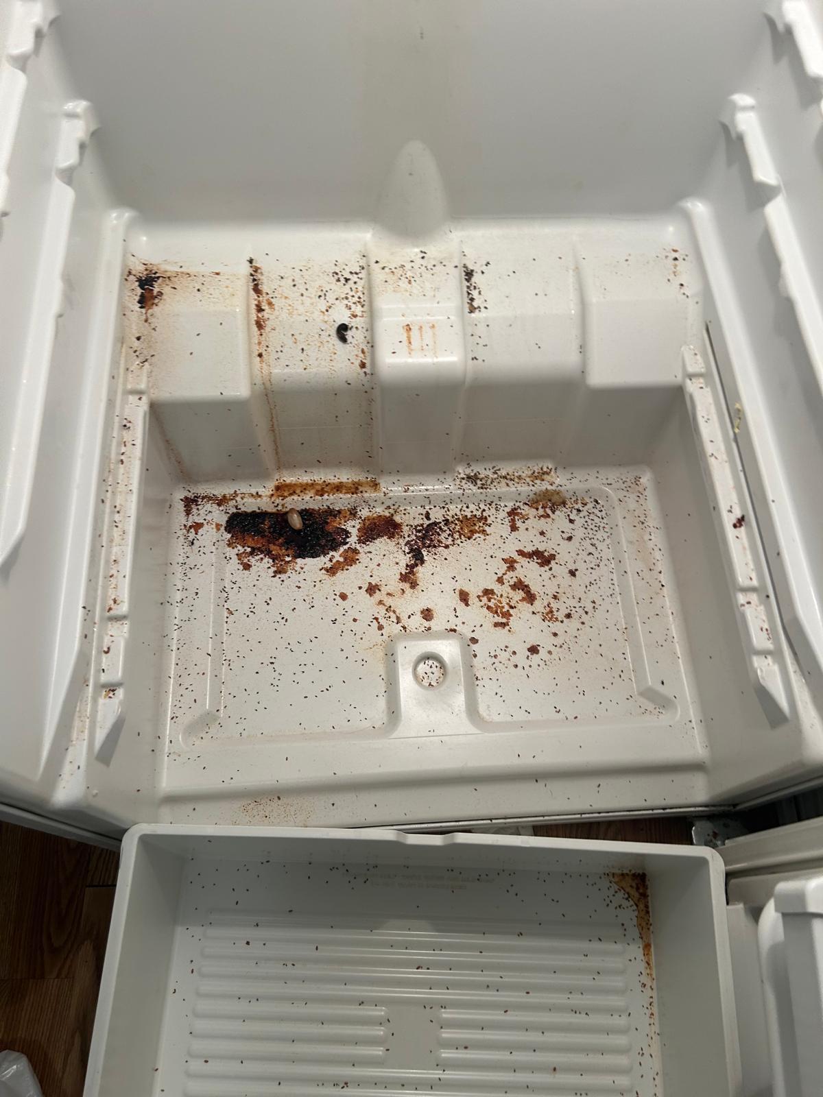 Before Image of project